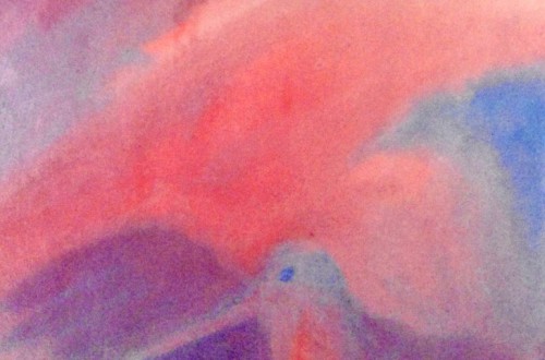 humming_bird